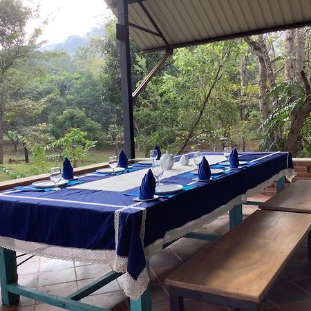 Mind Body And Soul Hotell Dambulla Eksteriør bilde