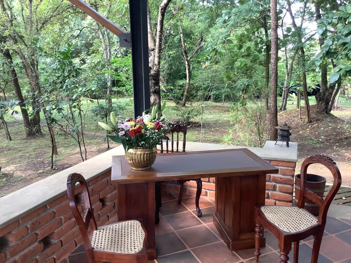 Mind Body And Soul Hotell Dambulla Eksteriør bilde