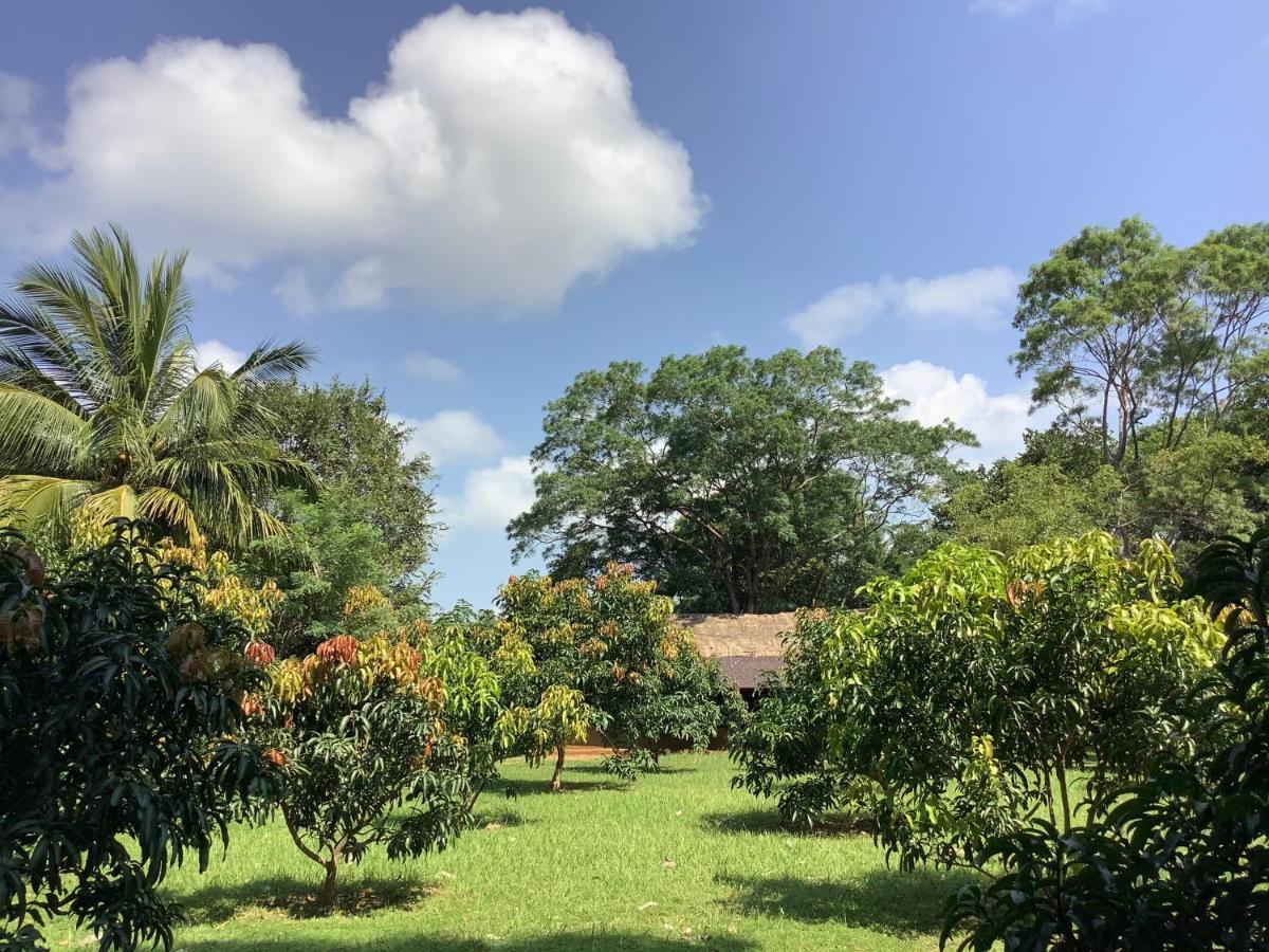 Mind Body And Soul Hotell Dambulla Eksteriør bilde