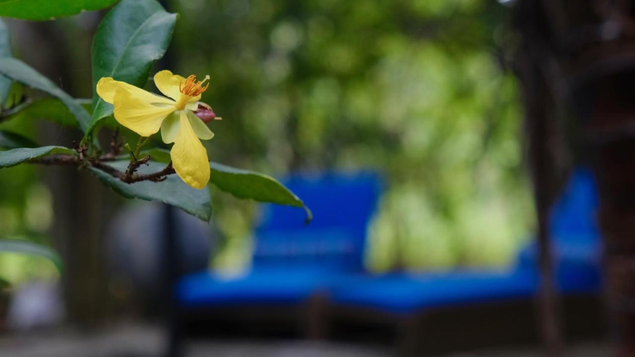 Mind Body And Soul Hotell Dambulla Eksteriør bilde