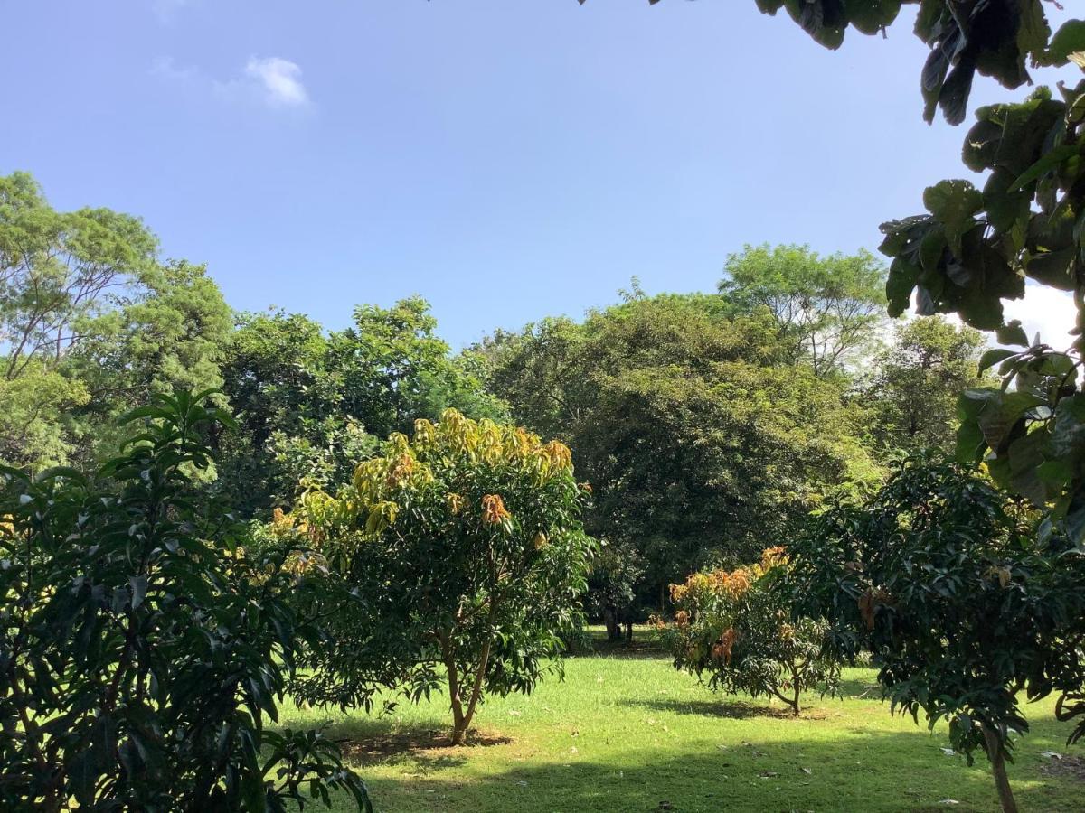 Mind Body And Soul Hotell Dambulla Eksteriør bilde