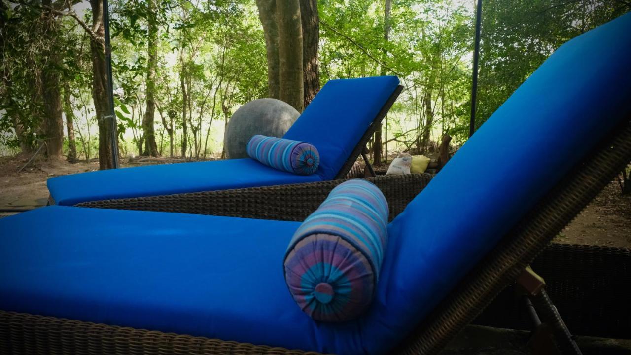 Mind Body And Soul Hotell Dambulla Eksteriør bilde