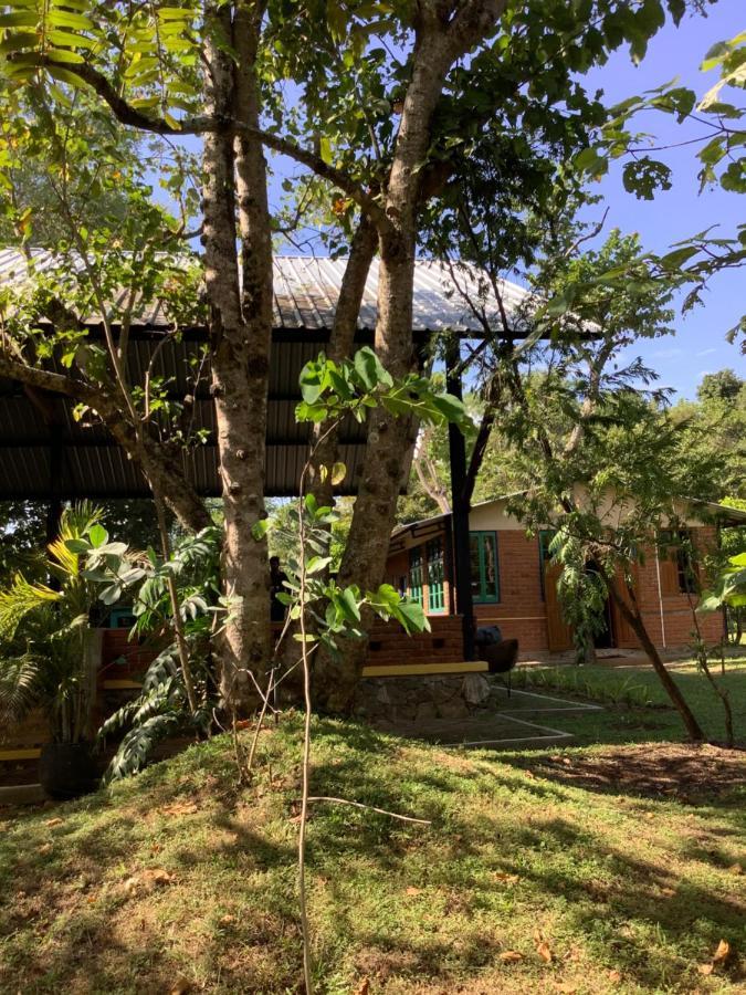 Mind Body And Soul Hotell Dambulla Eksteriør bilde