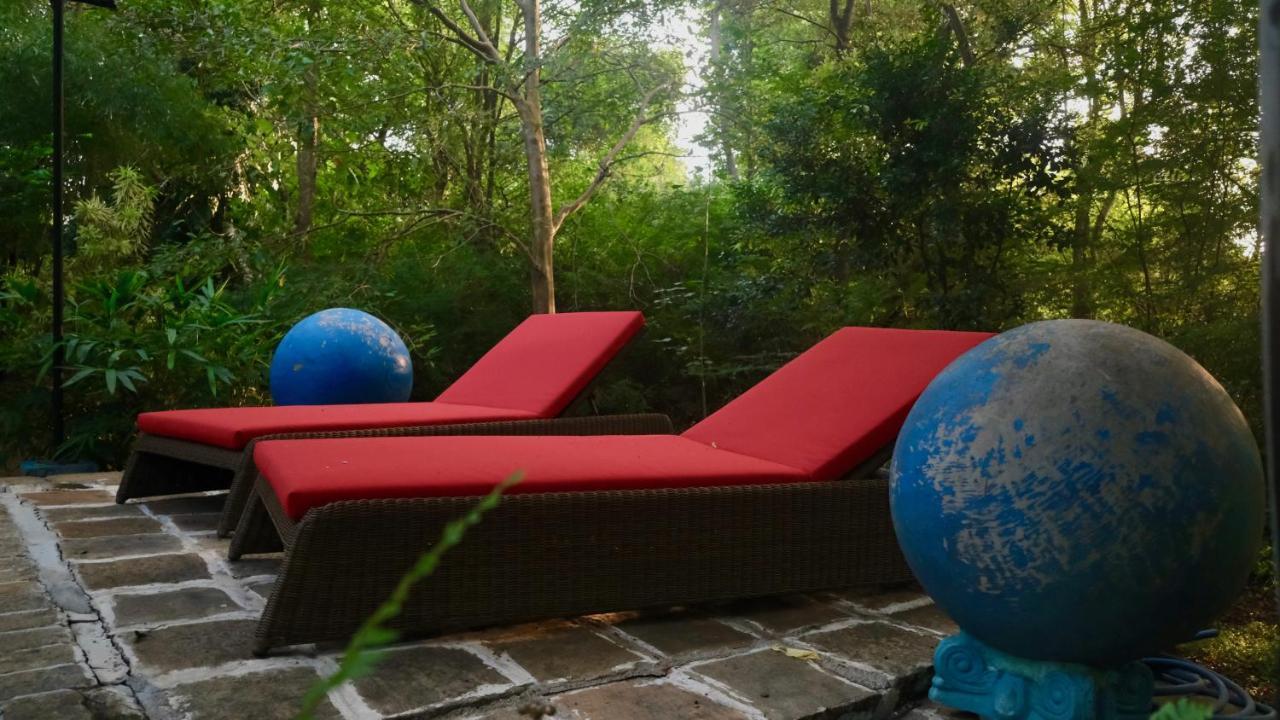 Mind Body And Soul Hotell Dambulla Eksteriør bilde