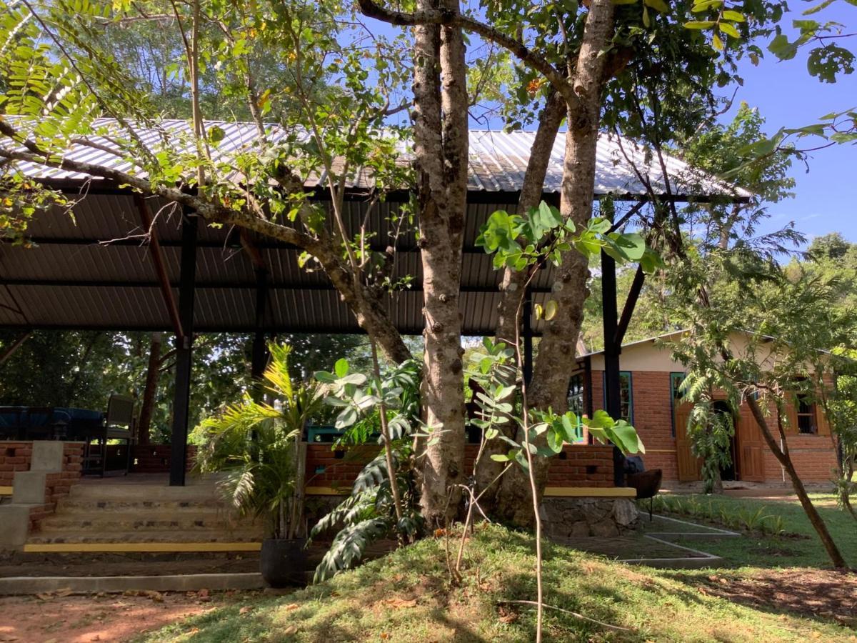 Mind Body And Soul Hotell Dambulla Eksteriør bilde