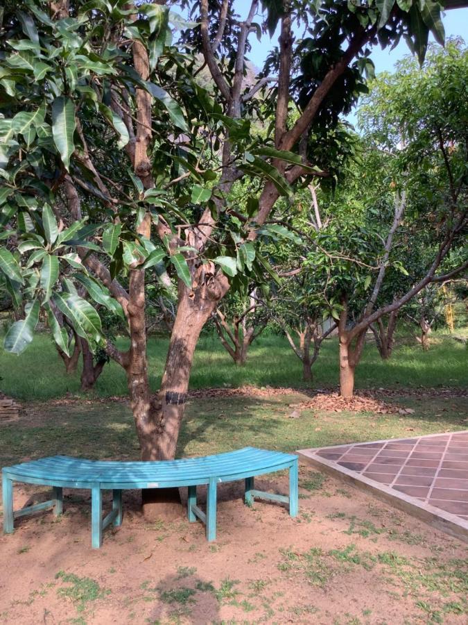 Mind Body And Soul Hotell Dambulla Eksteriør bilde